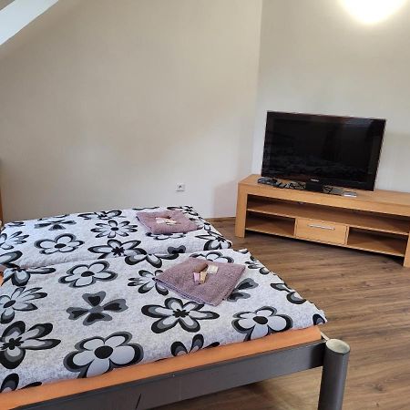 Studentska Apartments カルロヴィ・ヴァリ エクステリア 写真